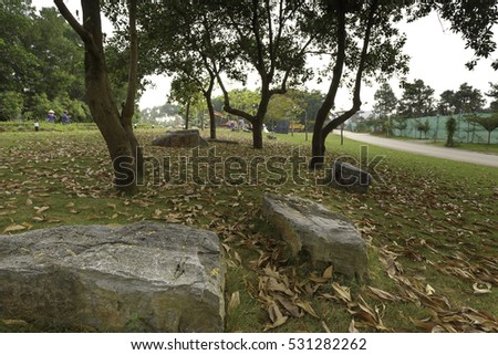 Flamingo Dai Lai, Vinh Phuc province, Vietnam - October 13, 2016 : Stones on the lawn full of yellow leaves falling off into the sunset