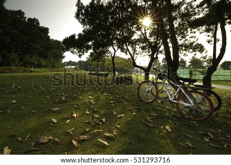 Flamingo Dai Lai, Vinh Phuc Province, Vietnam - October 11, 2016 : two bicycle at sunset on the fallen leaves background in the park at Flamingo Dai Lai Resort Vinh Phuc province , Vietnam