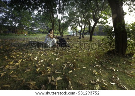 Flamingo Dai Lai, Vinh Phuc province, Vietnam - October 13, 2016: woman sitting reading relaxing on the lawn full of yellow leaves falling off into the sunset