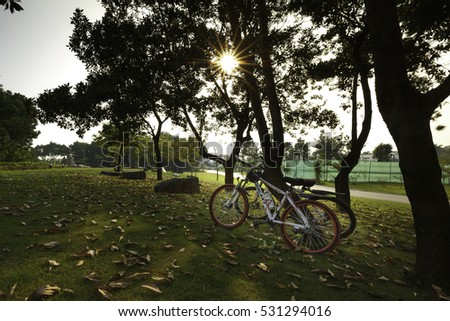 Flamingo Dai Lai, Vinh Phuc Province, Vietnam - October 11, 2016 : two bicycle at sunset on the fallen leaves background in the park at Flamingo Dai Lai Resort Vinh Phuc province , Vietnam