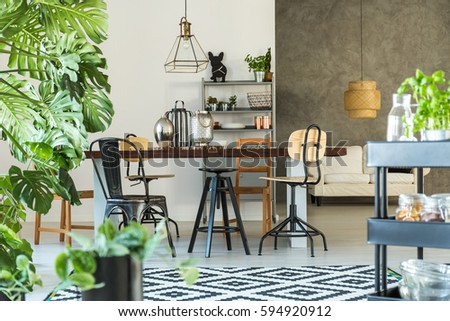 Indoor Plants Stock Images, Royalty-Free Images & Vectors ... Indoor Plants Stock Images, Royalty-Free Images & Vectors ...