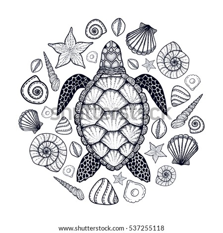 shirt t outline vector 537255118 Stock Art Line Sea Vector Turtle Shells Style