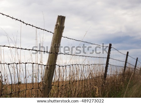 Old Barbed Wire Fence Old Barbed Wire Fence
