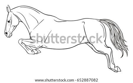 Page Coloring With Equestrian Sport A Horse Jumps Over The Barrier