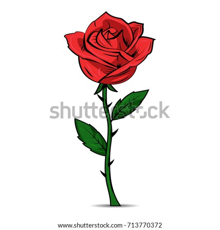 Hand Drawn Red Rose On White Stock Vector 713770372 - Shutterstock