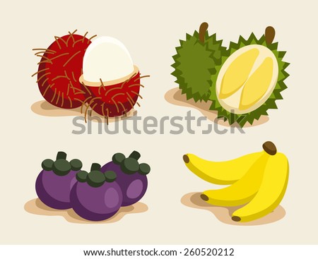Exotic Thai Fruit : Vector Illustration