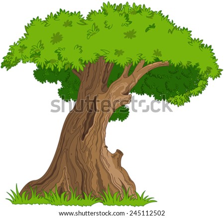 Cartoon Oak Tree Stock Images, Royalty-Free Images & Vectors | Shutterstock