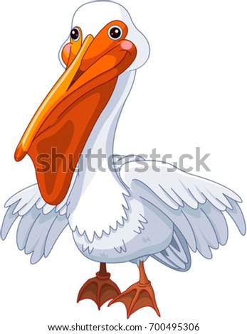 Baby Pelican Stock Images, Royalty-Free Images & Vectors | Shutterstock