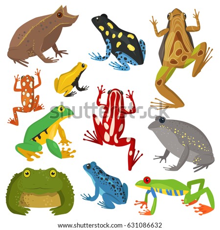 Amphibian Stock Images, Royalty-Free Images & Vectors | Shutterstock