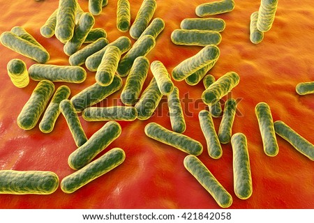 Propionibacterium Acnes 3d Illustration Bacteria Which Stock ...