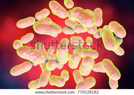 Mine bacteria free vagina can consult Apologise, but, bacteria free vagina you were