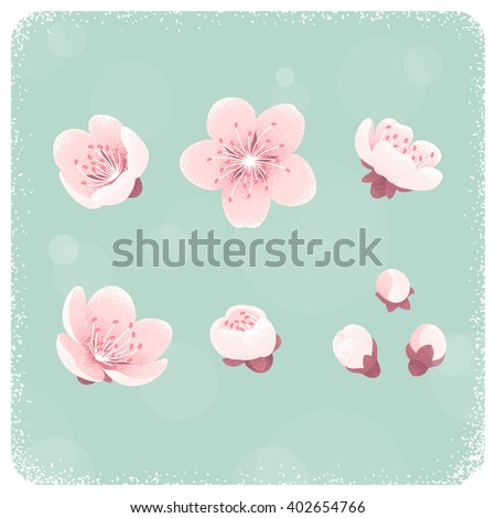 Cherry blossom, spring flowers set. Retro vector illustration