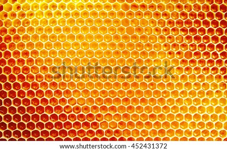 Background texture and pattern of a section of wax honeycomb from a bee hive filled with golden honey in a full frame view
