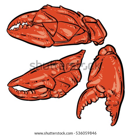 Download Crab Hand Draw On Vintage Background Stock Vector ...