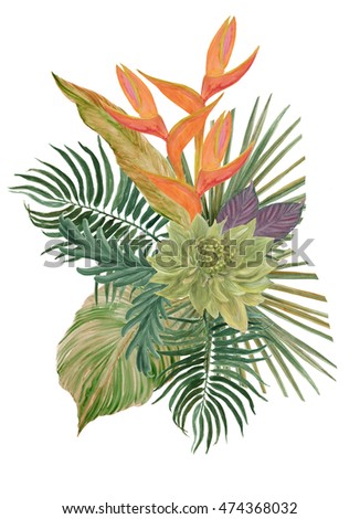 Vector Watercolor Strelitzia Hibiscus Jungle Palm Stock Vector ...