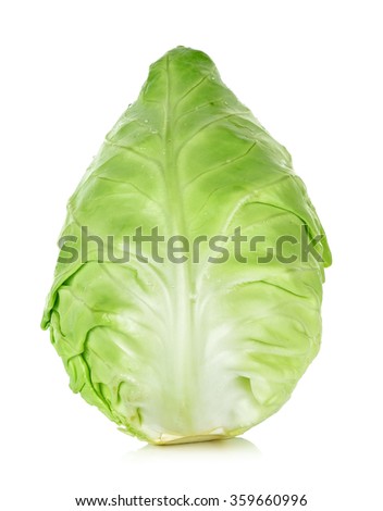 the white wall of cabbage essay the white wall of cabbage essay