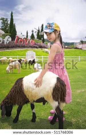 Child's hand holding sheep soft.Focus on hands and hair of sheep.Cute Asian children. Family photo. Family photo for the background. Happy family. Young Asian model