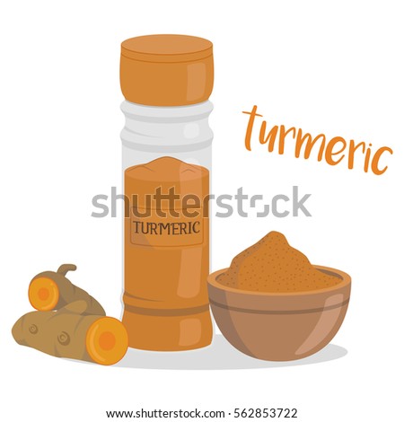 Vector turmeric illustration isolated in cartoon style. Herbs and Species Series