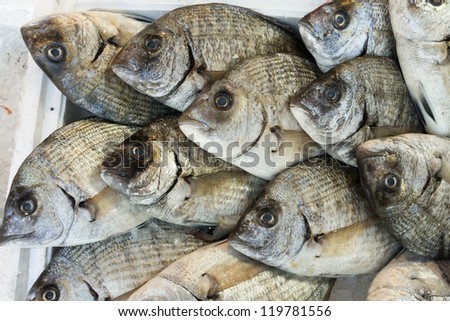 Sea Bass Bream Fresh Fish Market Stock Photo 65937271 - Shutterstock