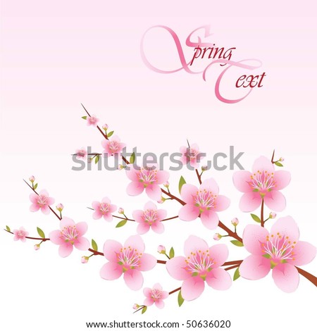 Branch Sakura Flowers Leaves On White Stock Vector 581960137 - Shutterstock