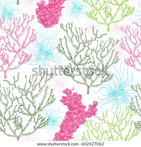 Collection of marine plants, corals and seaweed. Vintage seamless pattern with hand drawn marine flora. Vector illustration in line art style.
