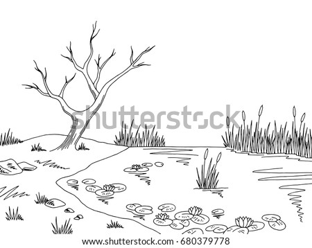 Bog Swamp Graphic Black White Landscape Stock Vector 680379778 ...