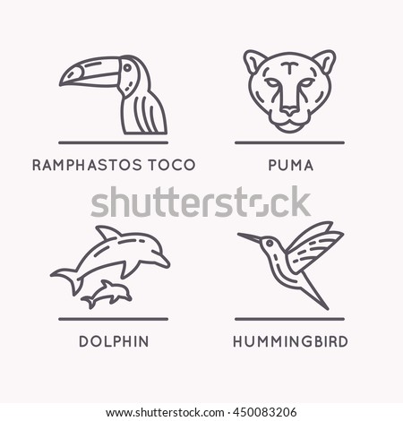 Brazilian culture linear icons set. Animals Of South America. Vector illustration of Toucan, Puma, Hummingbird and Dolphin.