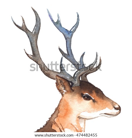 stock-photo-watercolor-deer-s-head-with-horns-wood-animal-isolated-474482455.jpg