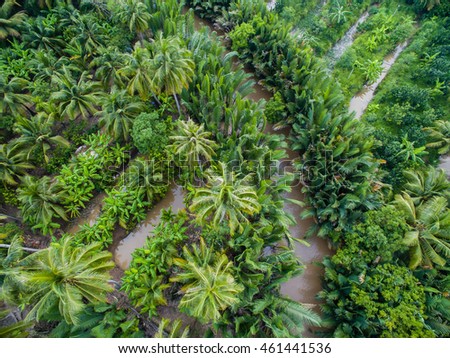 Mekong delta landscape from above