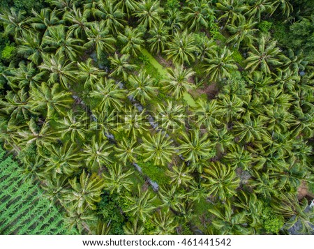 Mekong delta landscape from above