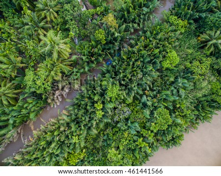 Mekong delta landscape from above