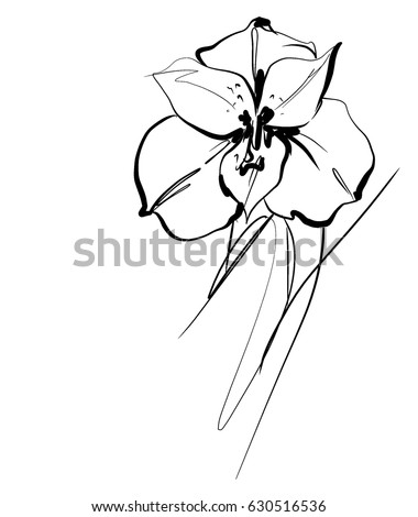 Flower Line Art Stock Images, Royalty-Free Images & Vectors | Shutterstock