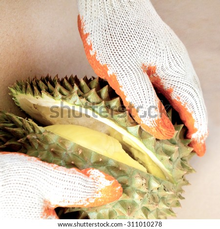 Pulling Apart Durian Fruit Segments By Stock Photo (Royalty Free - 450x470 - jpeg Hands Pulling Apart