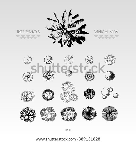 Architecture Drawing Trees architectural drawing trees line symbols top stock vector Architecture Drawing Trees architectural drawing trees line symbols top stock vector