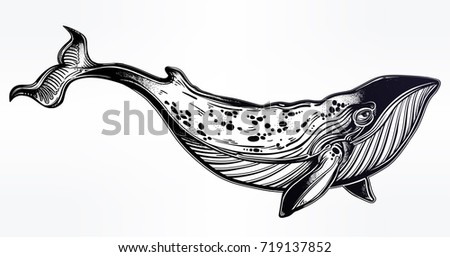 tattoo whale stock images royalty free images u0026 vectors tattoo whale stock images royalty free images u0026 vectors