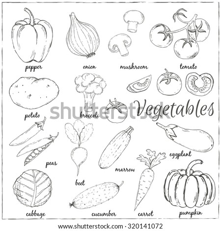 Seamless Vector Pattern Vegetables Stock Vector 261377534 - Shutterstock