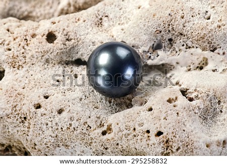 Large black Tahitian pearl on white coral.