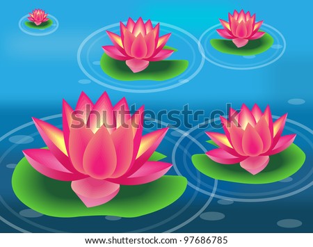 Water Lilies Flowers Stock Vector (Royalty Free) 97686785 - Shutterstock