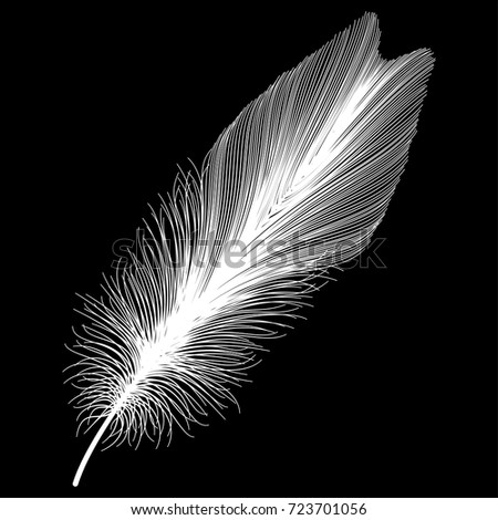 Download Fractal Rendering Angel Butterfly Wings Stock Illustration ...