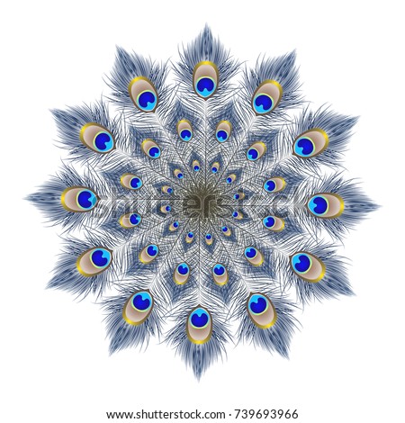 Download Peacock Feathers Background Mandala Ornament Beautiful ...