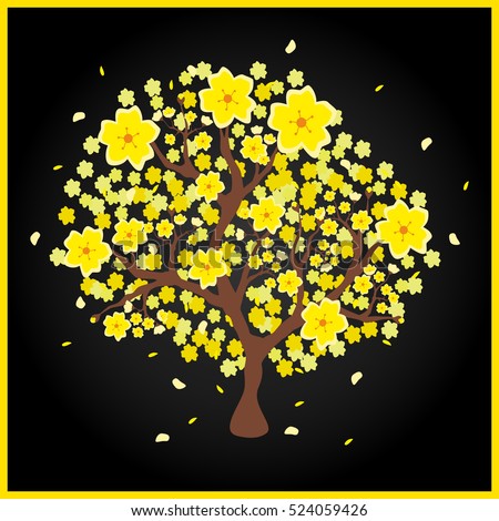 Vector illustration of a yellow peach tree popular in Vietnam, which is called "Hoa Mai" in Vietnamese language; black background
