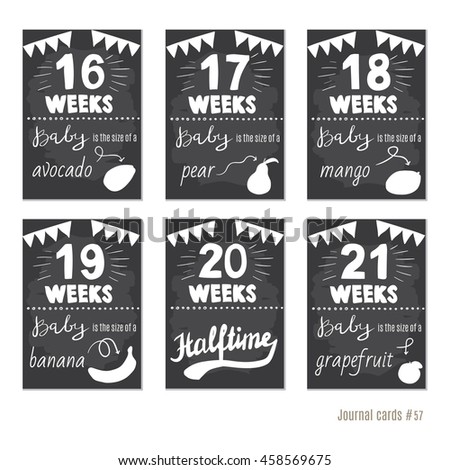 stock vector pregnancy weeks vector design templates for journal cards scrapbooking cards greeting cards 458569675
