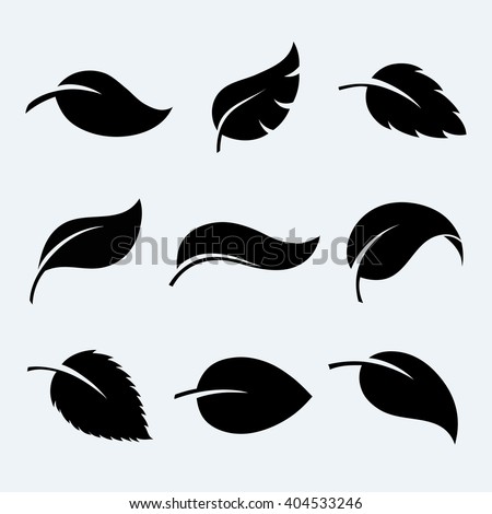 Leaves vector set isolated from the background. Collection black silhouettes of leaves. Leaves icon different shapes in modern flat style. Simple leaves tree.