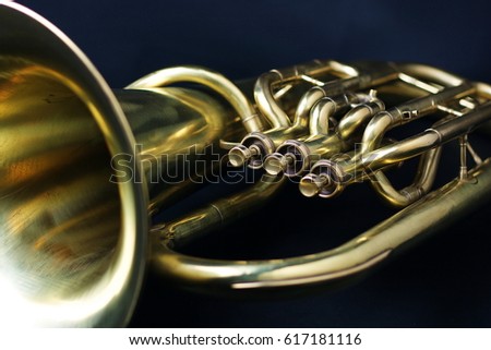 Euphonium Stock Images, Royalty-Free Images & Vectors | Shutterstock