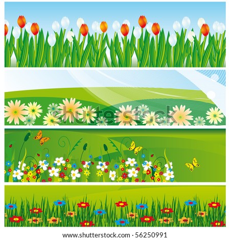 Collection Flowers Design Vector Illustration Stock Vector 67091371 ...