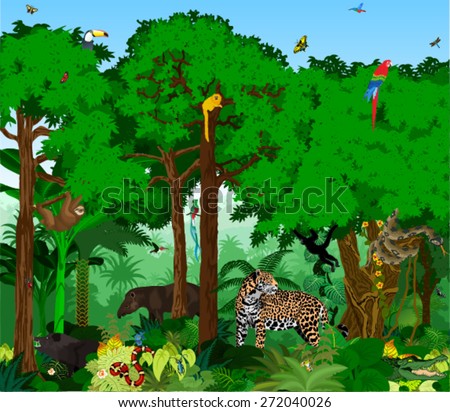 Rainforest Stock Photos, Images, & Pictures | Shutterstock