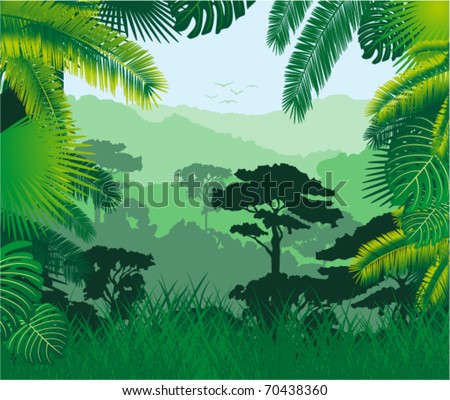 Vector Tropical Rainforest Stock Vector 70438360 - Shutterstock
