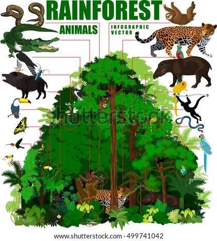 animal forest
