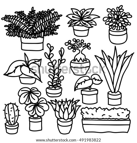 Image Result For House Plant Display Image Result For House Plant Display