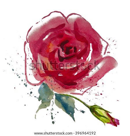 Painted Watercolor Poppy Flower Stock Illustration 61655875 - Shutterstock